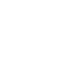 EXPERTCYBERblanc