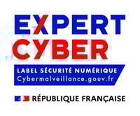 logo_expert_cyber_couleur_655-544-max